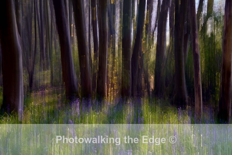  - Abstract - ICM