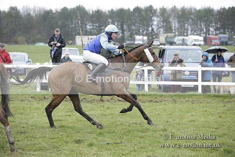PtP 150320 0376 - New Forest Point-to-Point Larkhill 15/03/20