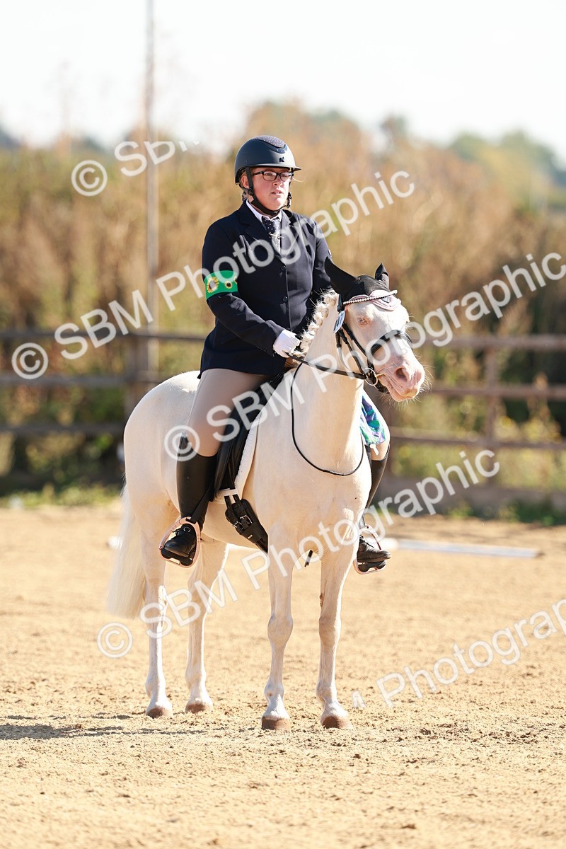 SBM_009311 - Class 2 - Intro 3