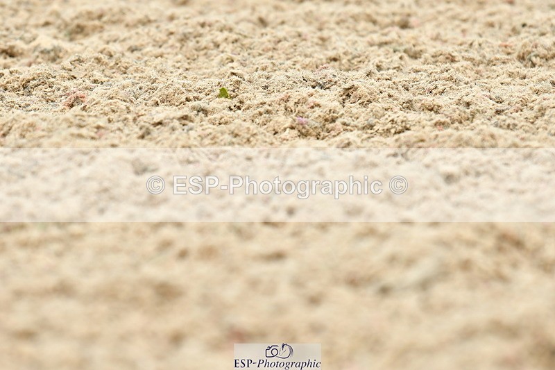 230701A-134018-06537 - Cls 10 Medium 69