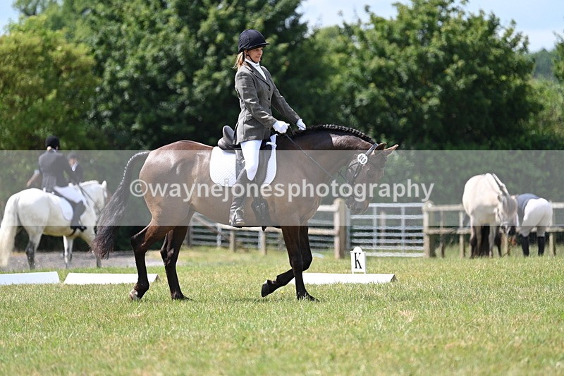 WJ7_4813 - Time 11:22 to 11:51