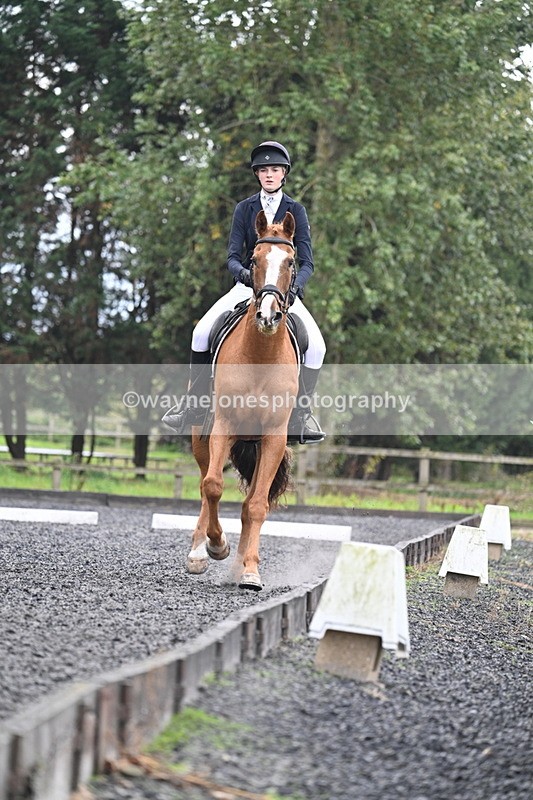 WJ7_6678 - Time 14:49 to 15:14