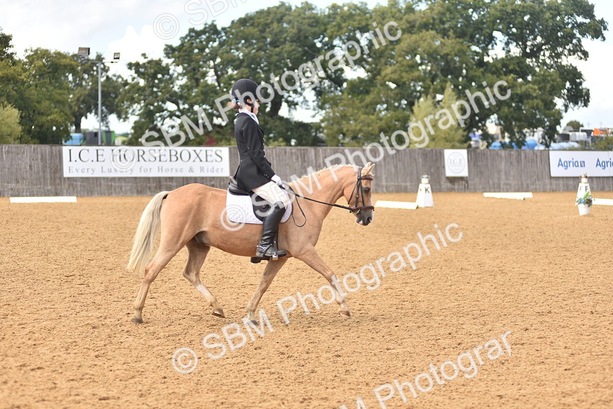 SBM_48671 - D22 - Junior Championship Intro 3