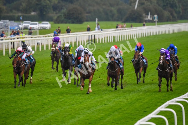 100923-Race 7-Looking For Lynda-1221 - Race 7 4.55pm Brian Taylor 50 Not Out Apprentice Handicap