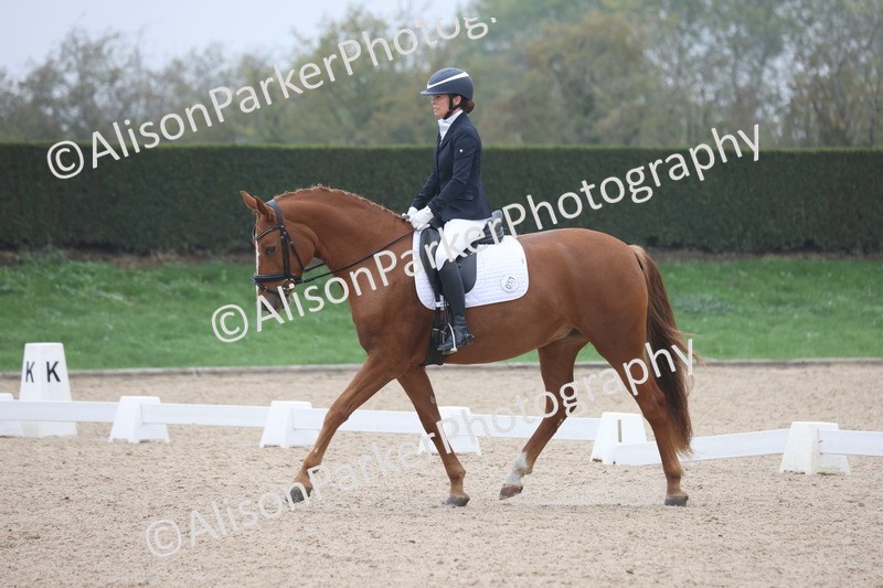 20251012-0545 - Class 4 - Novice 6