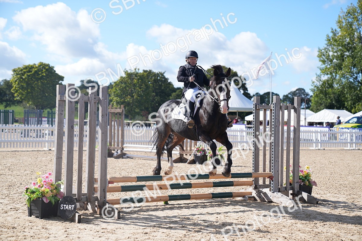 SBM_02479 - J54 Clear Round 45cm