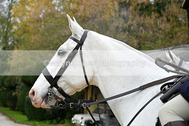 WJ7_5897 - Berks & Bucks - Children's Meet - The Old Farmhouse – Steventon.