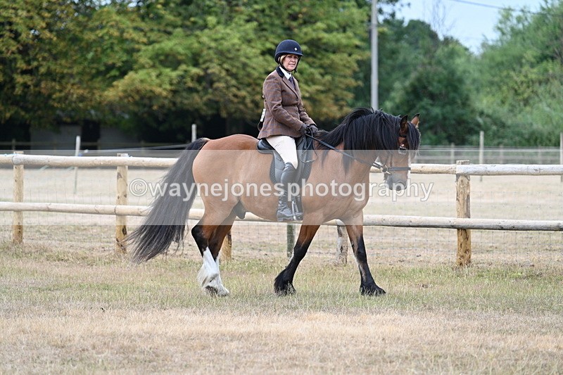 WJ7_0653 - Class 6 Ridden Mountain and Moorland
