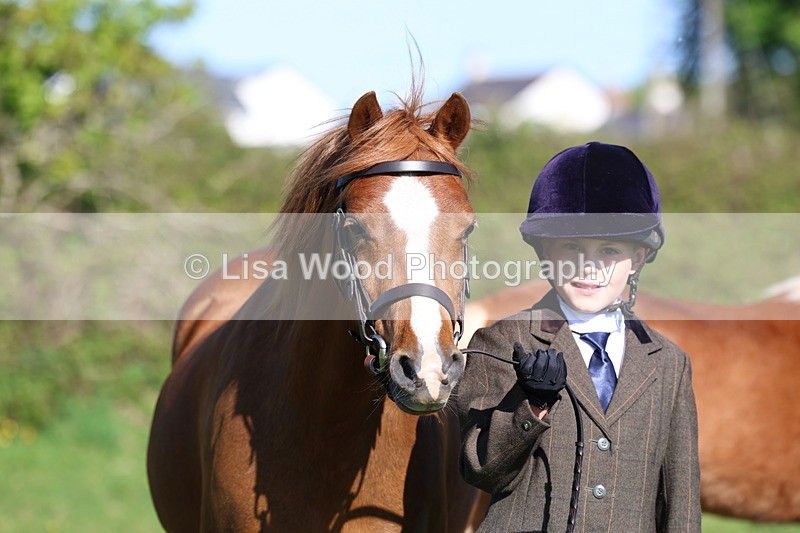 3E7A8392 - Class 12: M & M Small Breeds