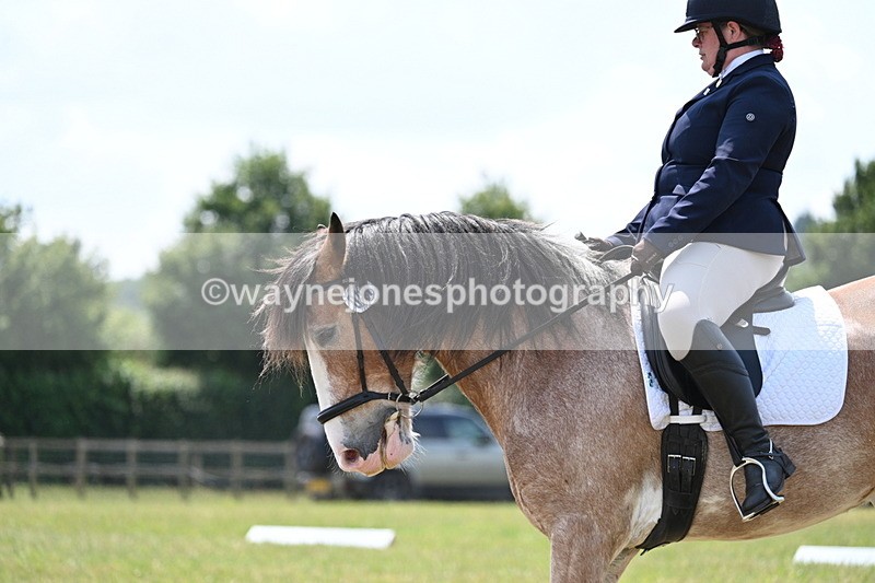 WJ7_8296 - Time 13:35 to 13:40