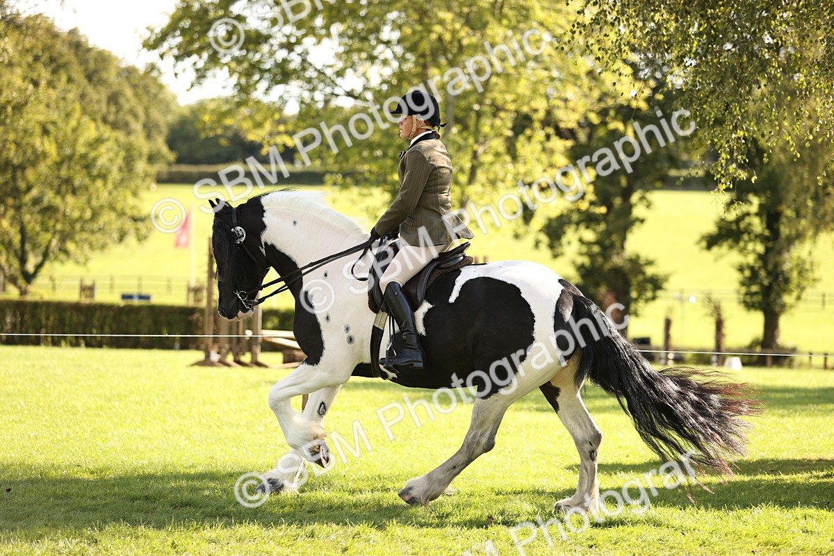 SBM_26430 - S6 - Novice & Newcomers Ridden Horse