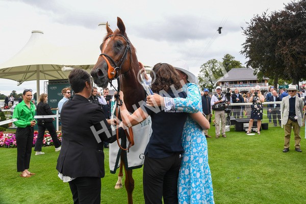240823-Race 2-Dragon Leader-0210 - Race 2 2.25pm Goffs UK Harry Beeby Premier Yearling Stakes