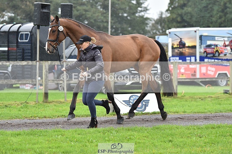 231018-122506-00274 - 034-COOLEY.PARK.MUZE-Gemma.Stevens-TrotUp