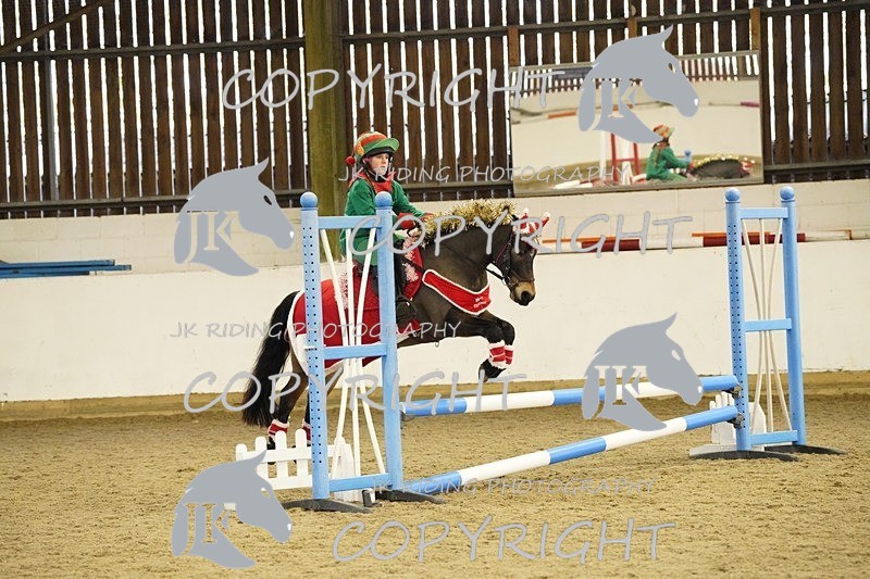 _DSC3295 - 50cm/60cm Pairs