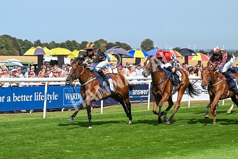 130825-Race 2-Brimfulofattitude-7146 - Race 2