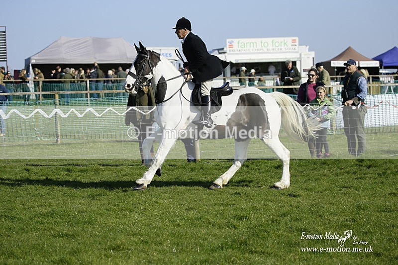 PtP 190322 567 - Wilton Hunt PtP Milborne St Andrew 19/03/22