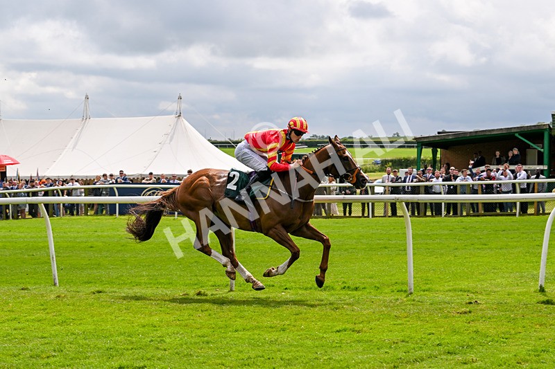180624-Race 1-The Dancing Poet-9982
