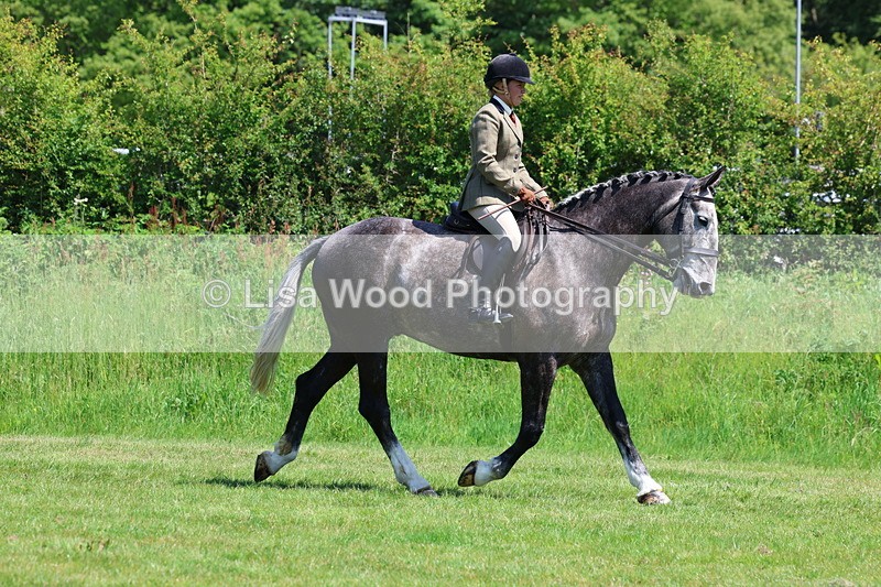 3E7A8231 - Class 13: Ridden Hunter