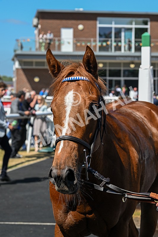 170525-Race 1-Revival Power-7885 - Race 1