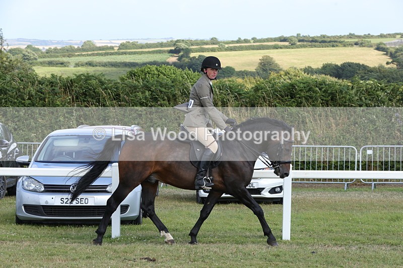 1X9A5835 - Class 41:. NPS New Forest & Connemara