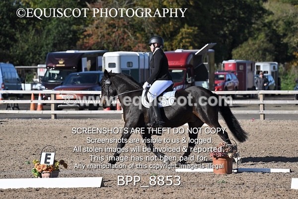 BPP_8853 - SHORT ARENA