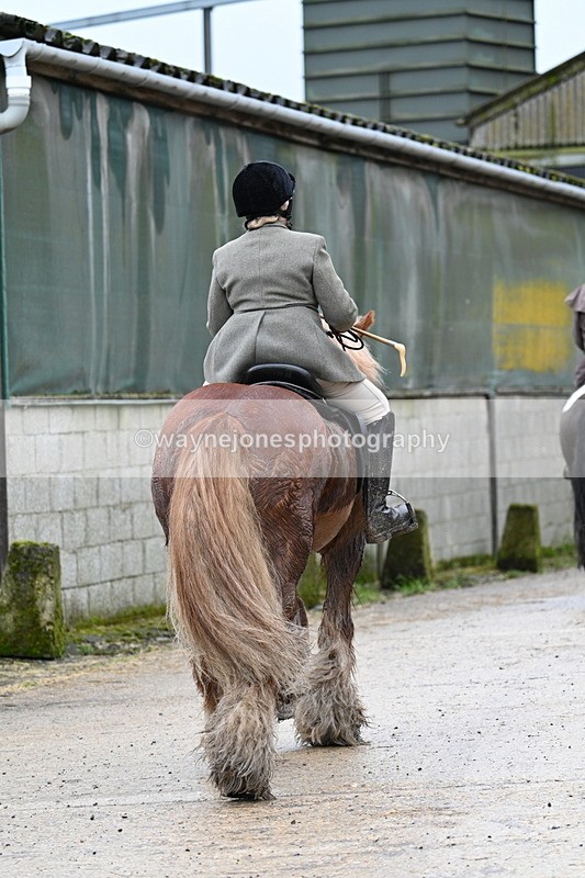 WJ7_8907 - Berks & Bucks - Rowles Farm 15-02-26