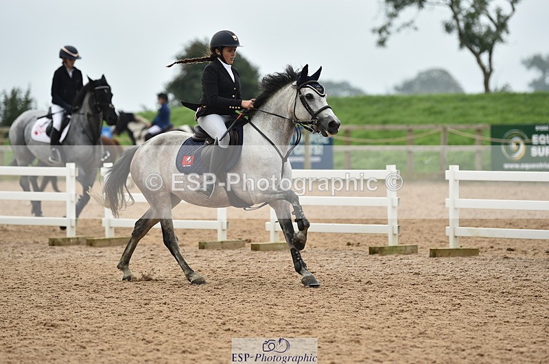 230902A-113014-00728 - Cls 2B Pony Small 80cm