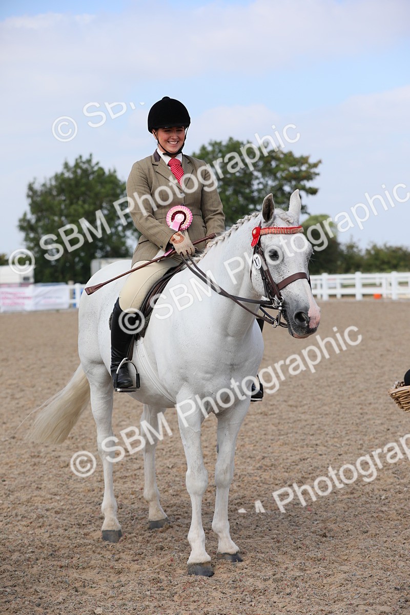 SBM_13540 - Class 308 Ridden Coloured Horse