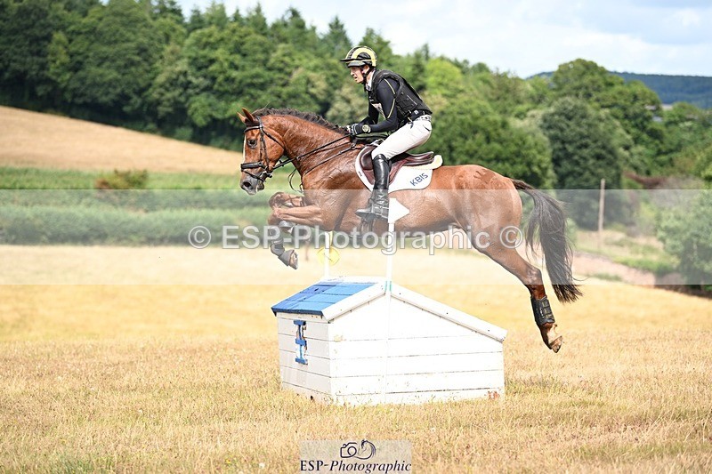 250803A-154009-16331 - O-686-Tom.Rowland-YOULL.NEVER.WALK.ALONE