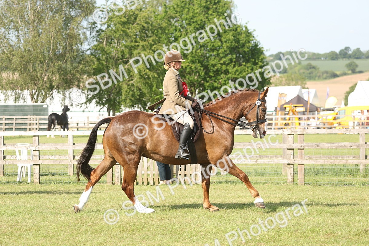 SBM_10261 - Class 33-38 - SSADL RIHS Qualifiers