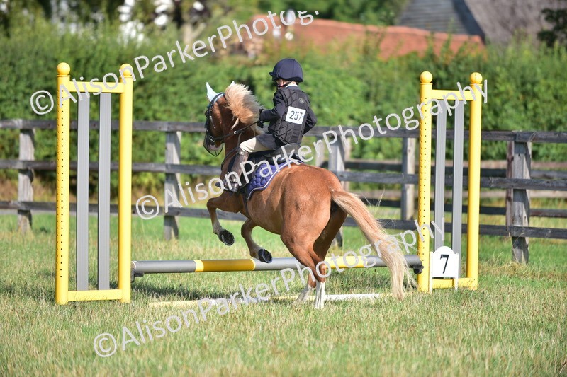 20260906-0466 - Class 6 - Minimus Jumping