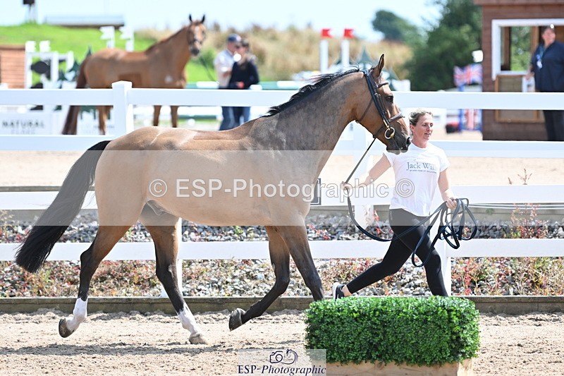240717A-150438-02511 - Trot Up 3pm to 4pm
