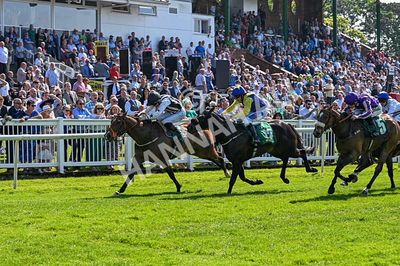 180524-Race 3-Burning Cash-9397 - Race 3