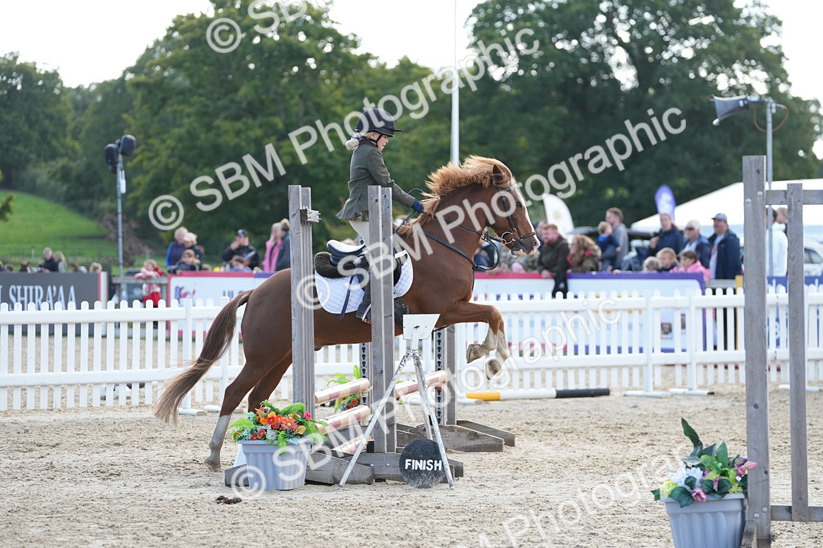 SBM_46735 - J7 - Junior Pony 60cm Championship