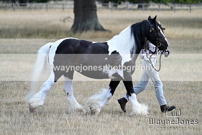 WJ7_8948 - Kellie and Nancy at Swallowfield 31-08-26