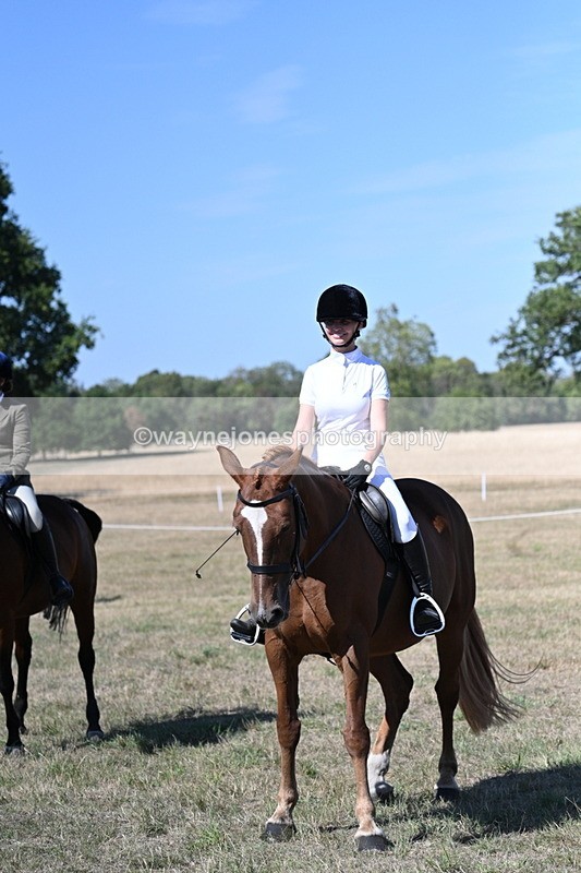 WJ7_1284 - Class 41 Prettiest Mare