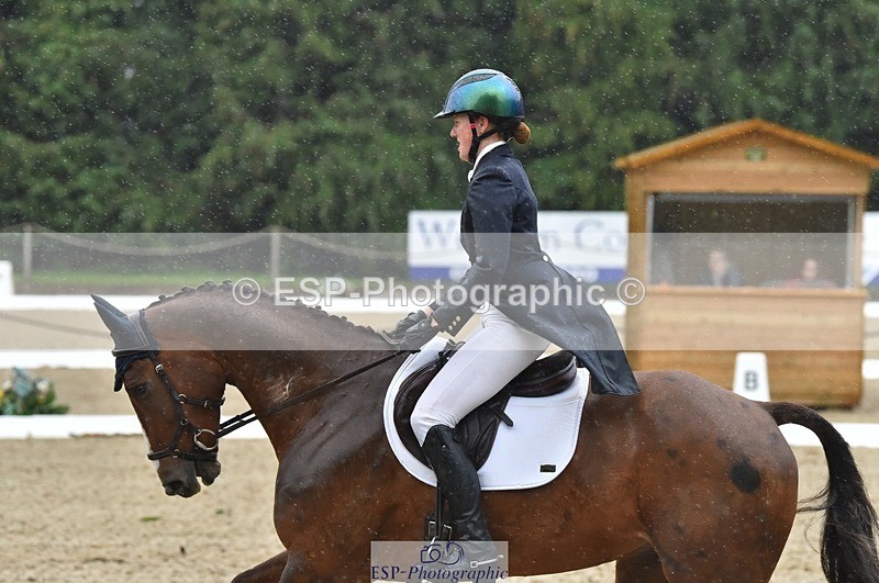 231018-144012-00617 - 002-CHILLI.BILL-Alicia.Wilkinson-DR