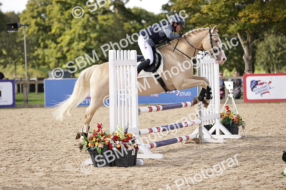 SBM_16562 - J33 - Senior 75cm Championship