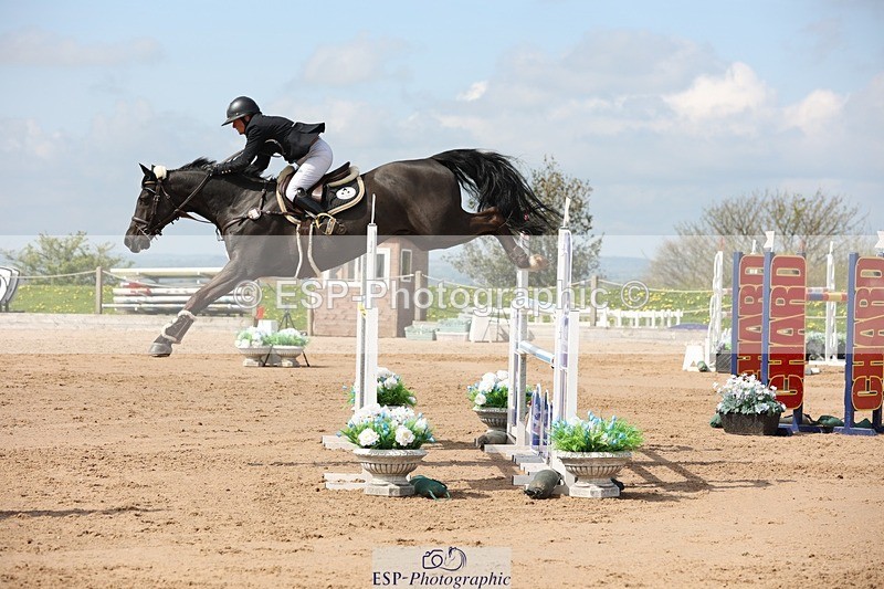 250427-111802-15916 - Cls 36 Young Horse 7yr old