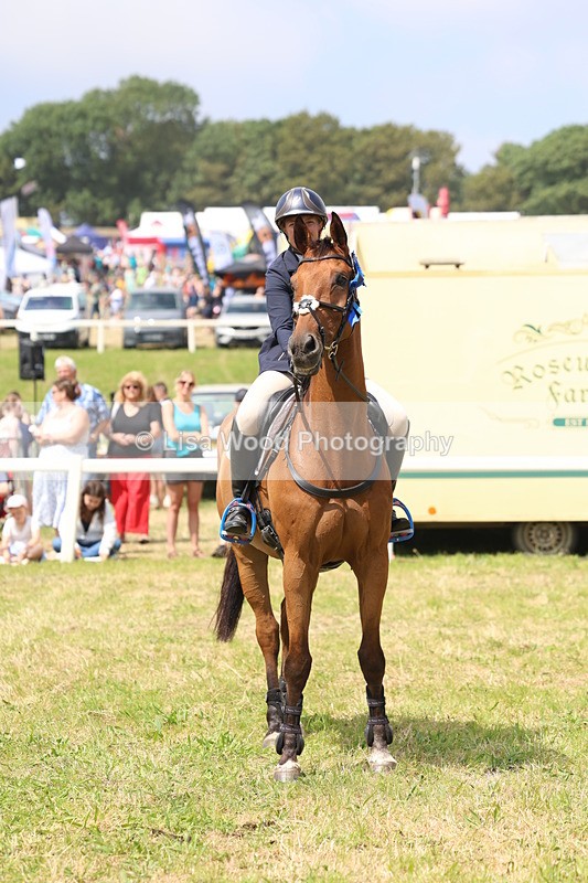 3E7A3473 - Class 10: Senior Foxhunter/1.20 open