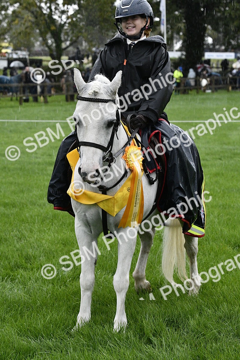 SBM_35574 - S30 - Nursery Stakes Working Hunter Pony