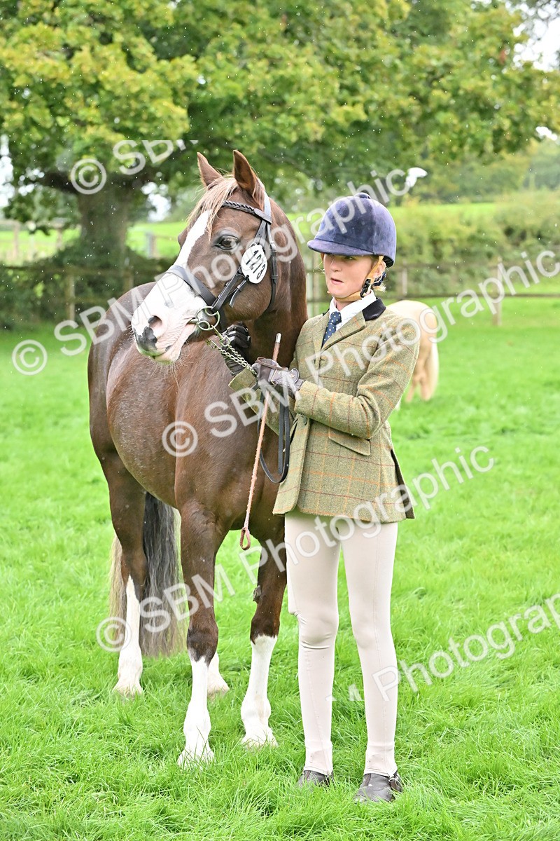 SBM_68597 - S42 - Junior Handler 9-12 Years