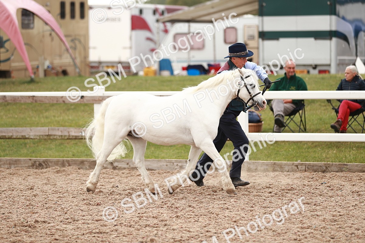 SBM_12450 - Class 207 IH M&M