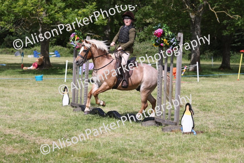 20260614-0749 - Class 20 - Beginners Working Hunter Pony