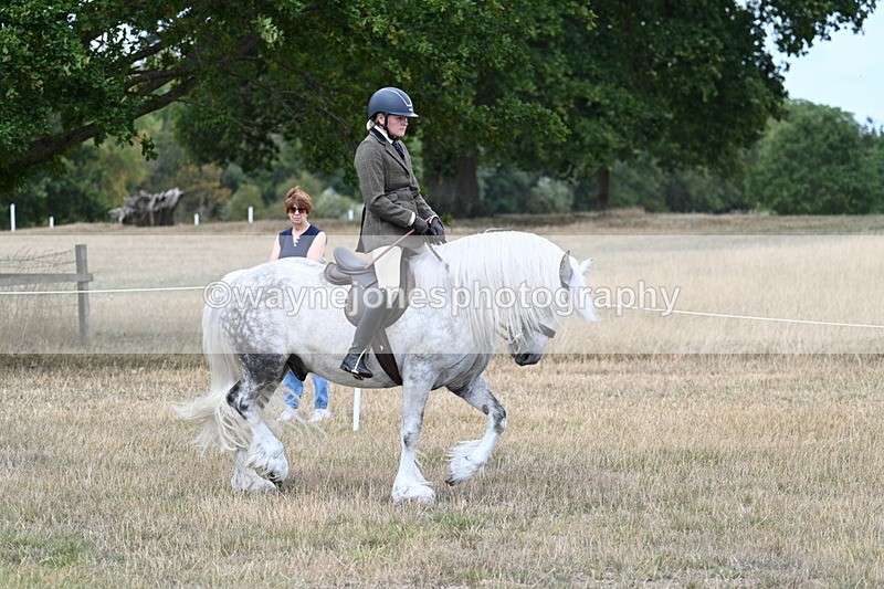 WJ7_4751 - Class 12 Ridden Cob