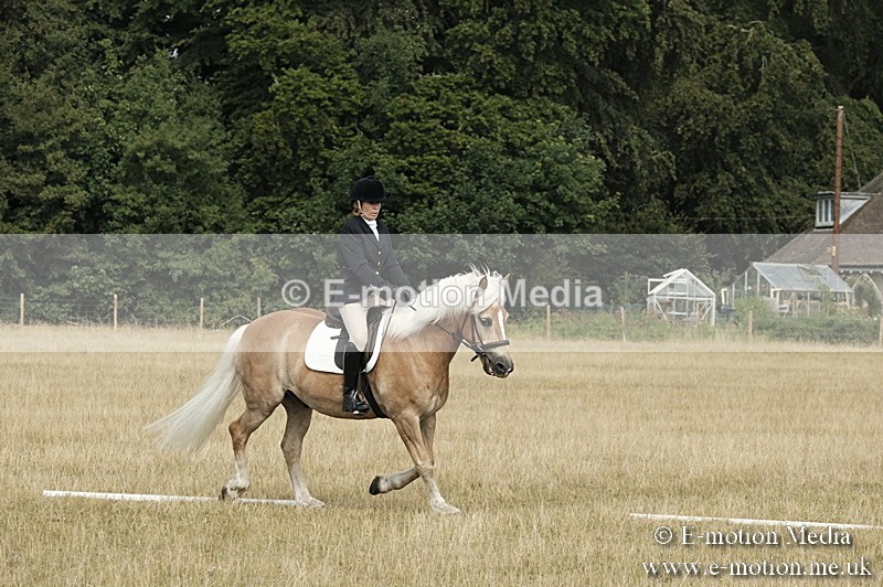 _PJP5719 - Dressage Classes BVRC Show 2018