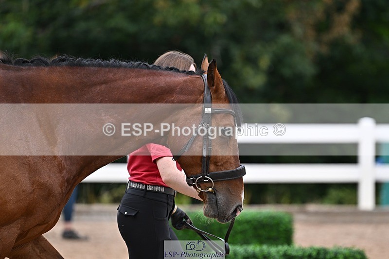 250716-133439-00581 - Trot Up 1.30 to 2.30