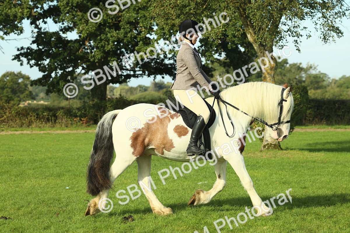 SBM_59848 - S38 - Starters Ridden Showing