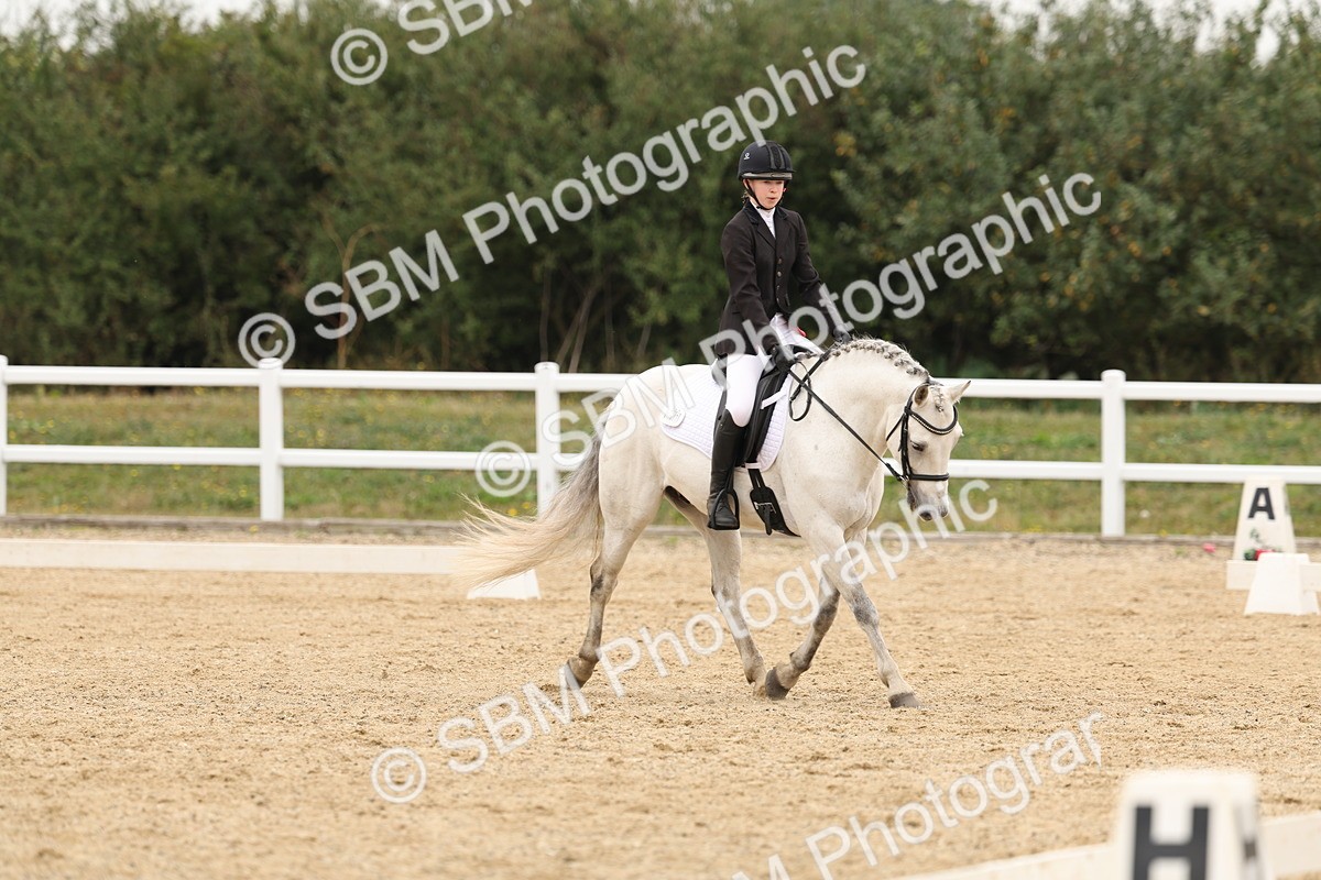 SBM_01084 - Class 8 - Novice 27 Champs