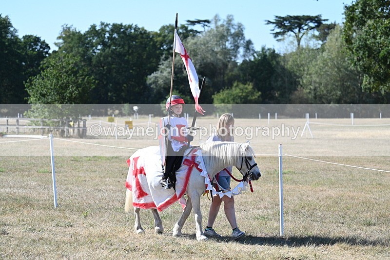 WJ7_2518 - Class 45 Fancy Dress (My Fav)